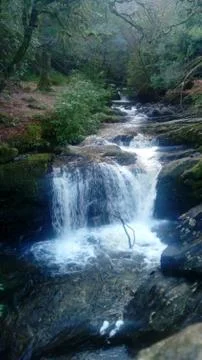 River in the forest making small waterfall Stock Photos