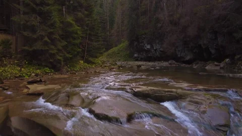 River in the forest. A mountain river in the Carpathians. Stock Footage 255165879
