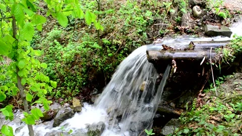 River in the forest with mountains in the background Video stock 152899919