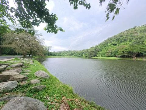 River in the forest, mountains. Stock Photos