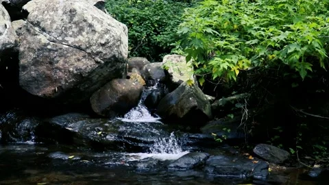 River in the forest natural, waterfall Stockbeeldmateriaal 240009627