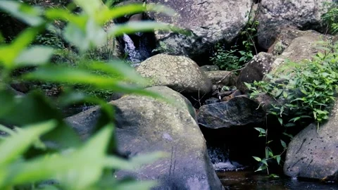 River in the forest natural, waterfall Vídeos de archivo 241309226
