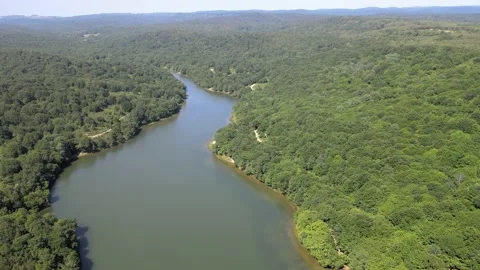 River forest nature Video stock 198060419