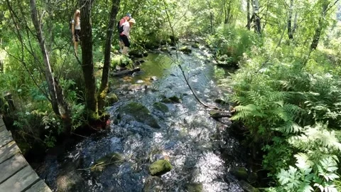 A river in the forest. People drink from the river Stock Footage 253890918