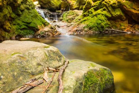 River in the forest Stock Photos