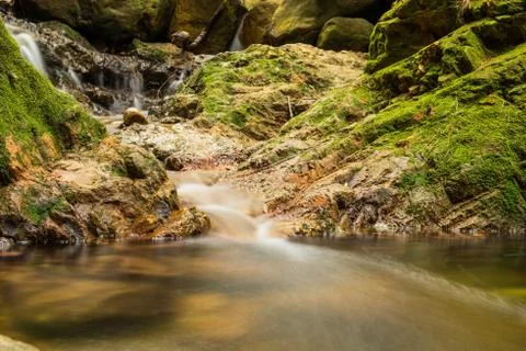 River in the forest Stock Photos