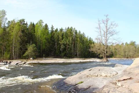 River in forest Stock-Fotos