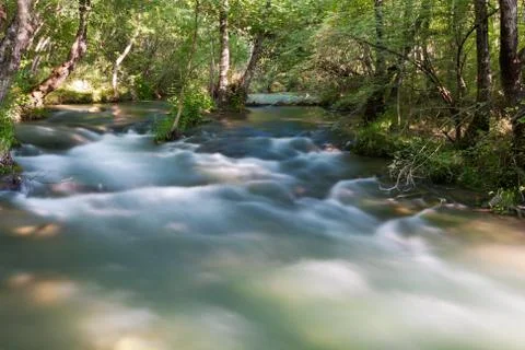 River in forest Stock Photos