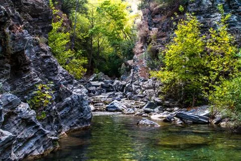 River in forest Stock Photos