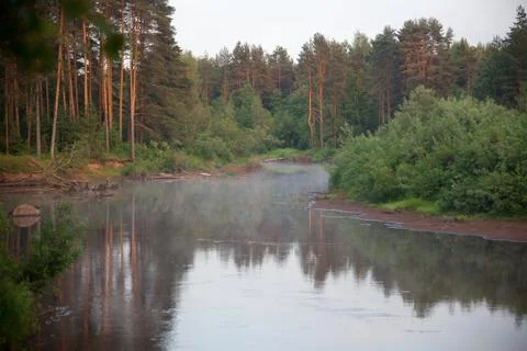 River in the forest Foto stock