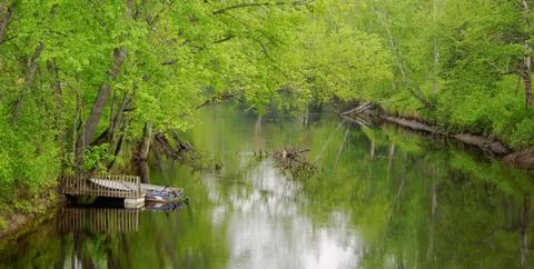River in forest Stock Photos