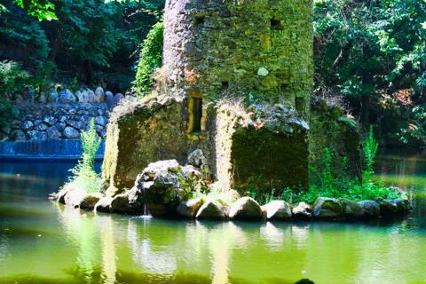 River in forest Stock Photos