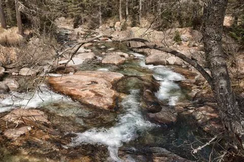 River in the forest Stock Photos