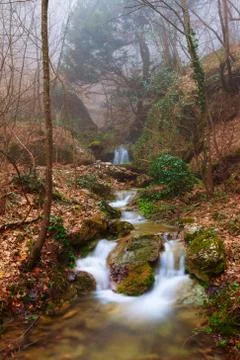River in the forest Stock Photos