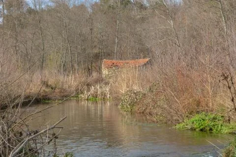 River on forest Stock Photos