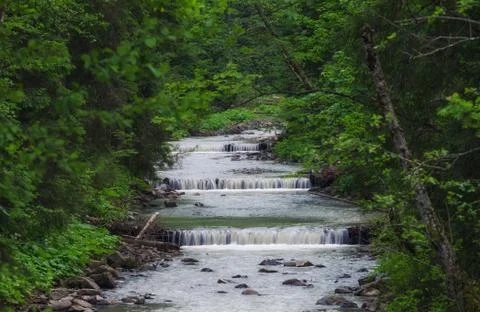 River in the forest Stock Photos