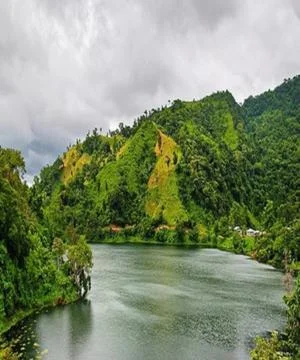 River in the forest Stock Photos