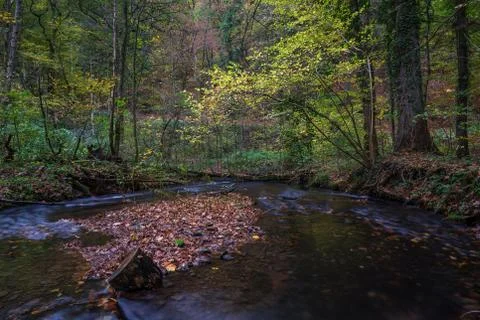 River in the forest Stock Photos