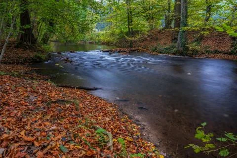River in the forest Stock Photos