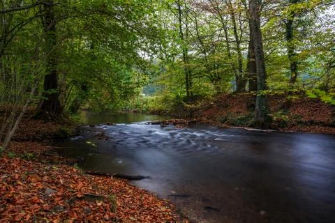River in the forest Stock Photos