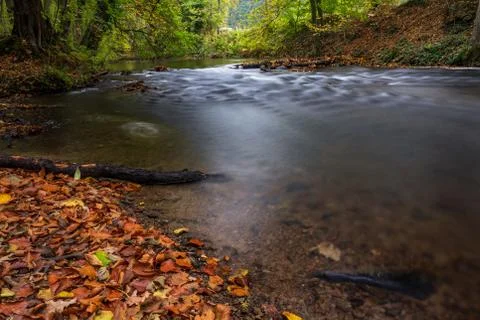 River in the forest Stock Photos