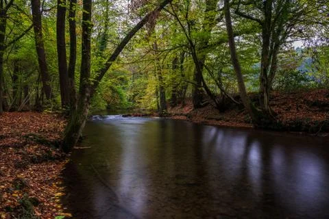 River in the forest Stock Photos