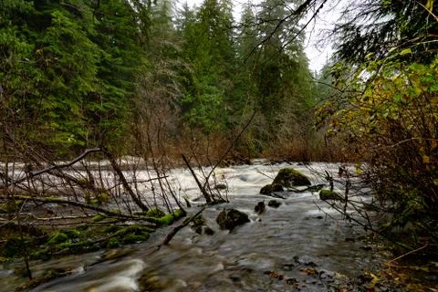 River in forest Stock Photos