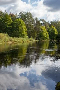 River in the forest Stock Photos