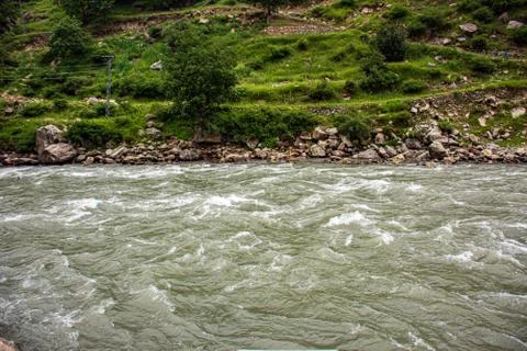 The river in the forest Stock Photos