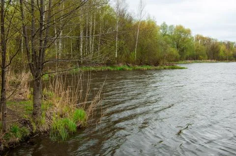 River in the forest Stock Photos