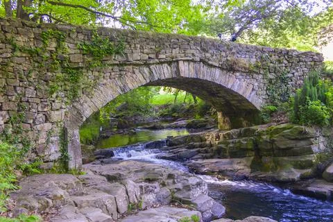 River in the forest Stock Photos