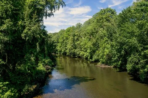 River in the forest Stock Photos