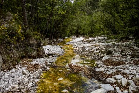 River in forest Stock Photos