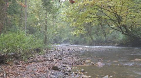 River in a forest Stock Photos