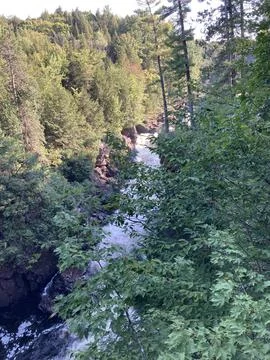 River in the forest Stock Photos