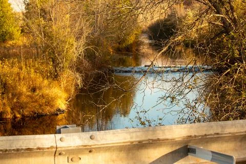 A river in the forest Stock Photos