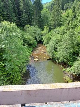 River in the forest Stock Photos