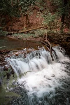 A river in forest 스톡 사진