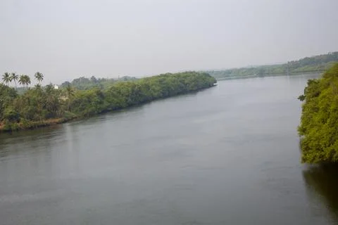 River in the forest Stock Photos