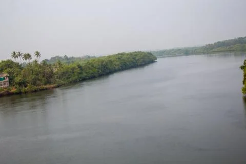 River in the forest Stock Photos