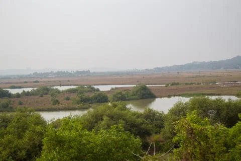 River in the forest Stock Photos