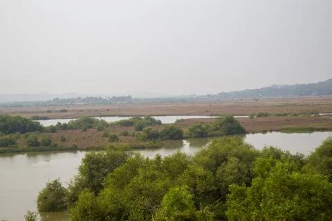 River in the forest Stock Photos