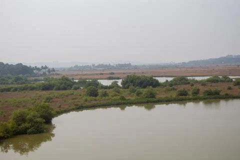 River in the forest Stock Photos