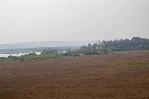 River in the forest Stock Photos