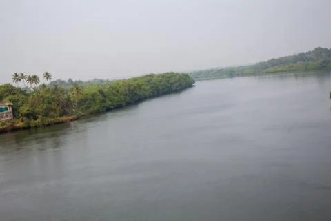 River in the forest Stock Photos