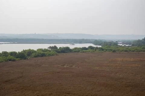 River in the forest Stock Photos