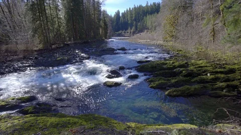 River in forest with rapids 2 angles Stock Footage 87309852