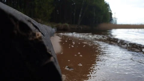 River in the forest. Reed in the forest by the river. Stock Footage 107626120