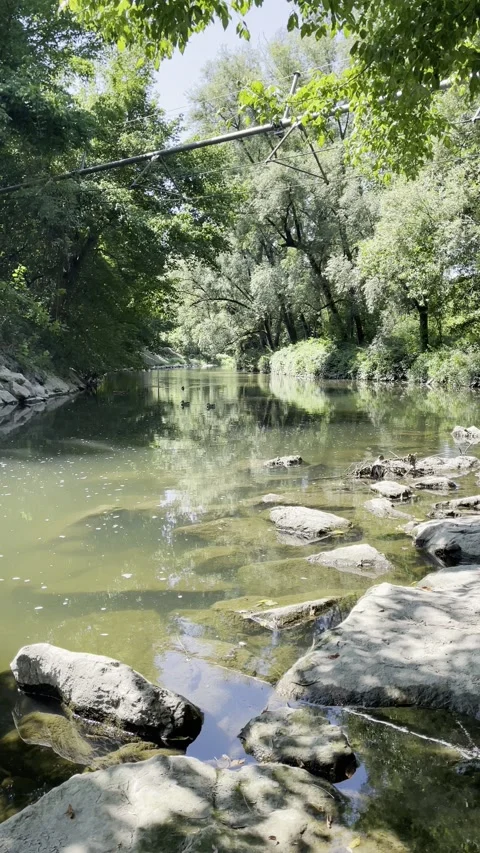 River in a forest reflected in the water Vídeo Stock 204016745