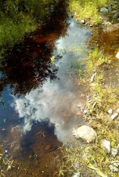 River in the forest. Reflection of blue sky and white clouds. Karelia. Russia. Stock Photos
